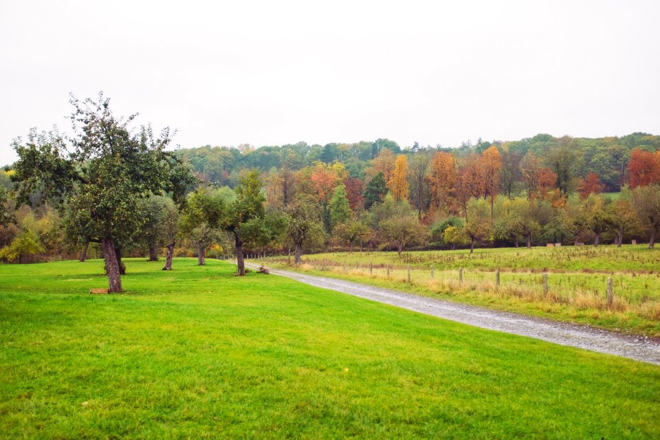 Belgium, Gesves, Fall