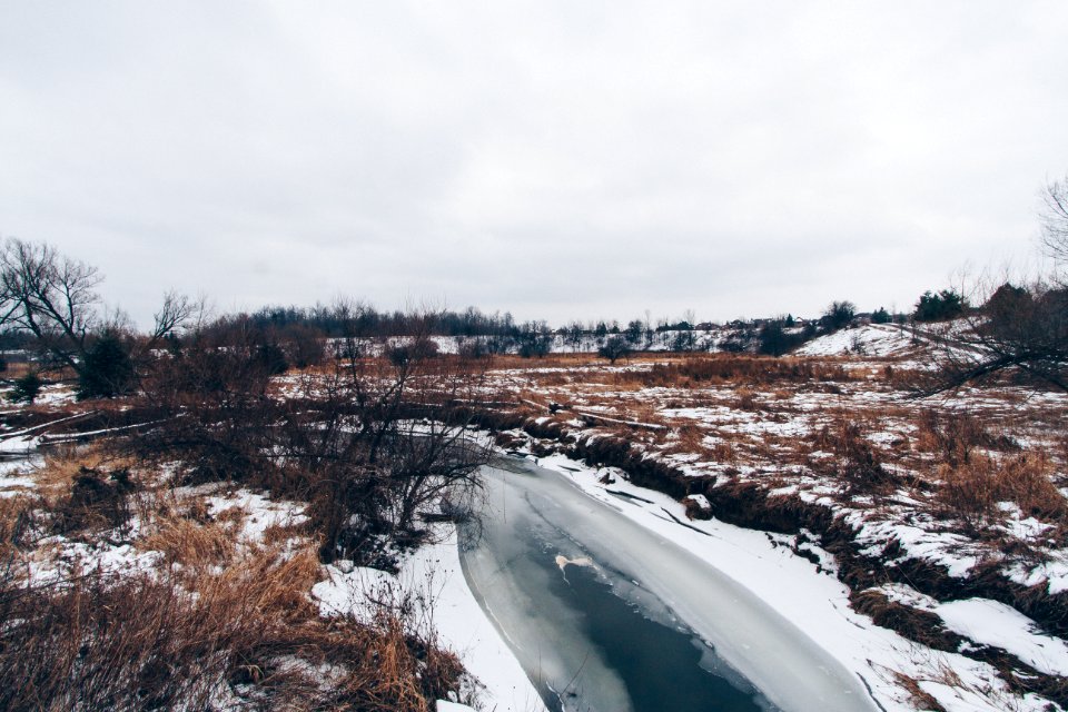 river covered snow under white sky photo