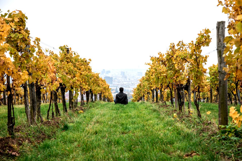 Kahlenberg, Vienna, Austria