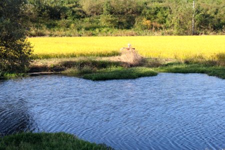 Yeongigun, South korea
