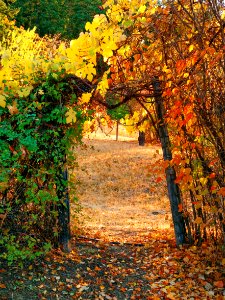 Leavenworth, United states, Autumn photo
