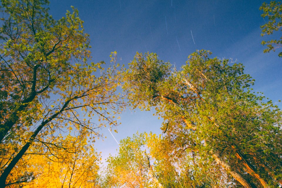 Squaw mountain, United states, Fall