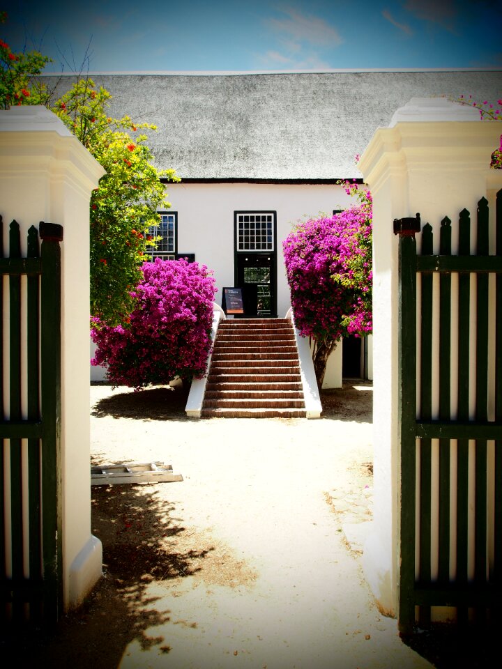 Property winelands thatched roof