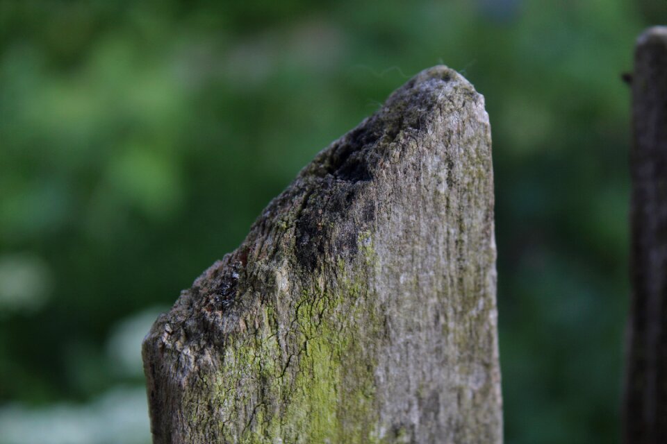 The fence macro old wood