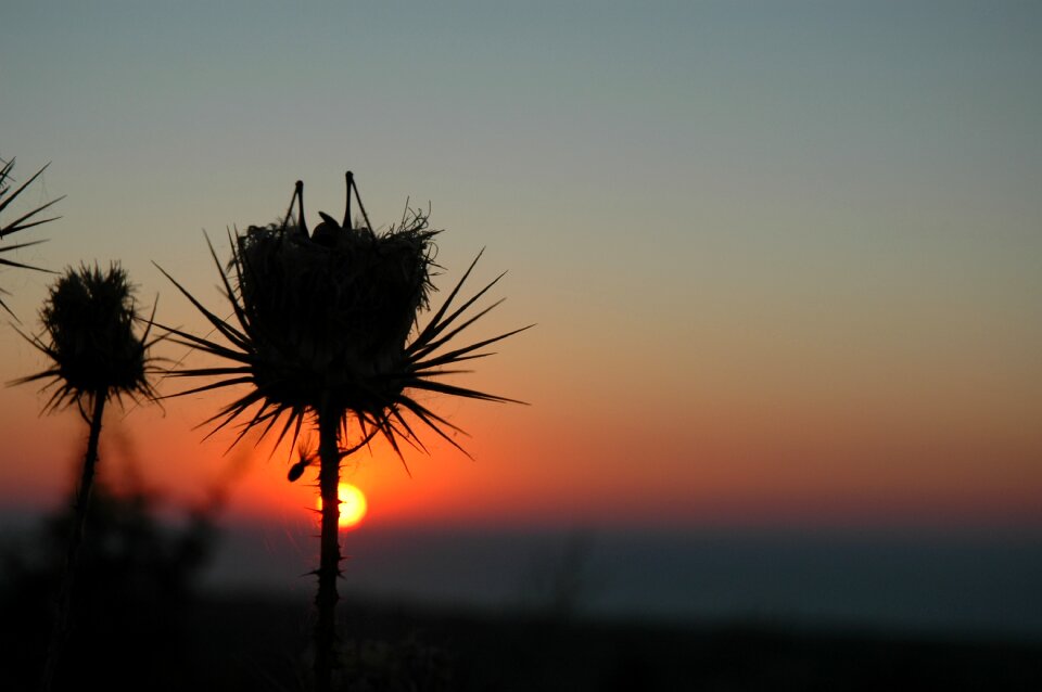 Red sky nature