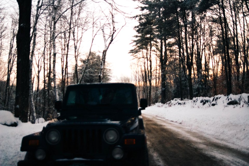 Sutton, United states, Nature