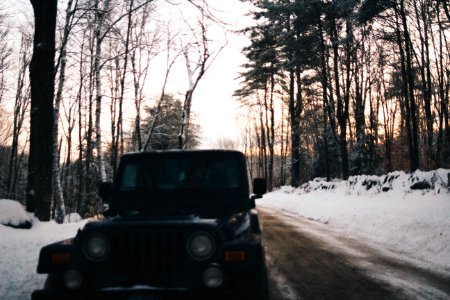 Sutton, United states, Nature