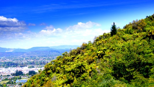 263335 mountain rd, Western heights, Rotorua 3015