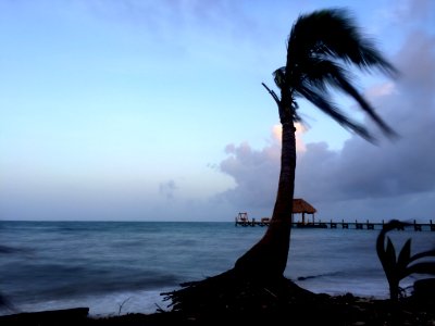 Placencia, Belice, Nature photo