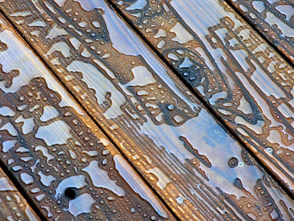 San diego, United states, Wood