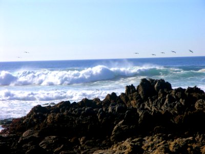 Carmel