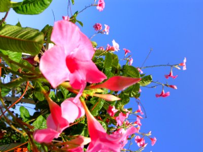 San diego, United states, Blue sky