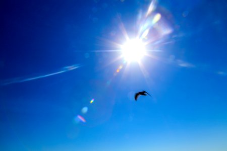Malibu, United states, Blue