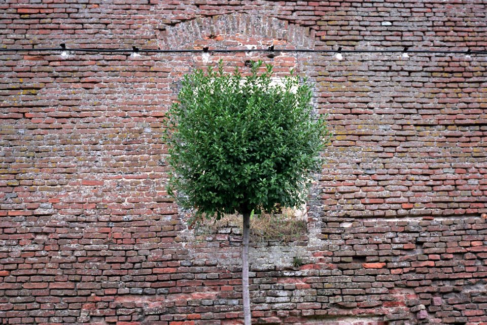 Alba iulia, Romania, Brick