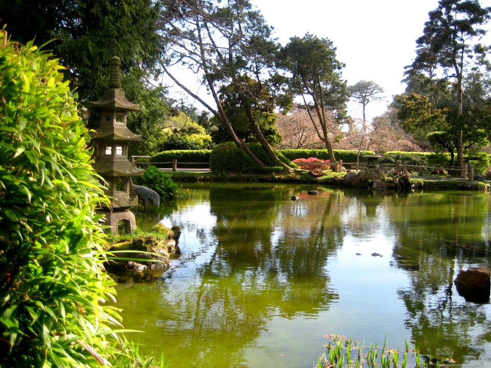 Japanese tea garden, San francisco, United states photo