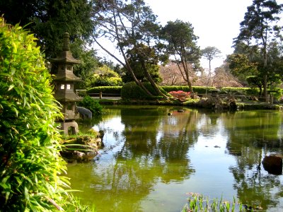 Japanese tea garden, San francisco, United states photo