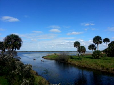 Myakka state park road, Myakka city, United states photo