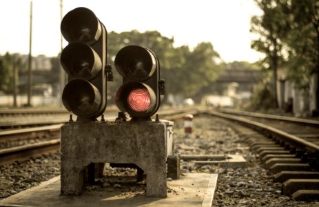 Curio, Train