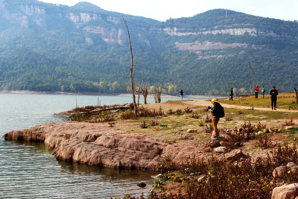 Photographer, Trees, Lake