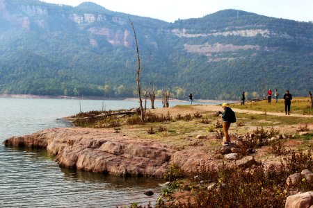 Photographer, Trees, Lake