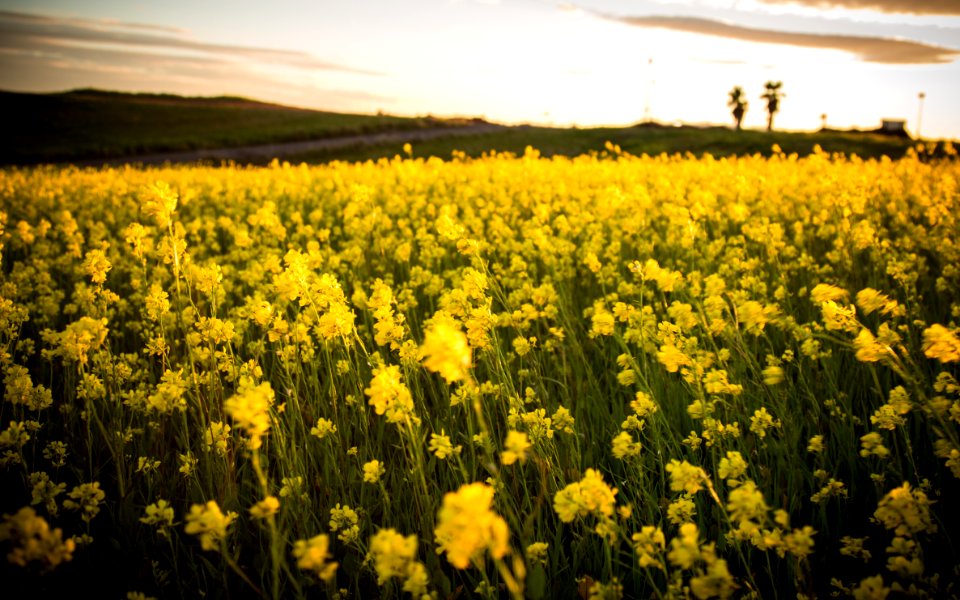 Livermore, California, United states