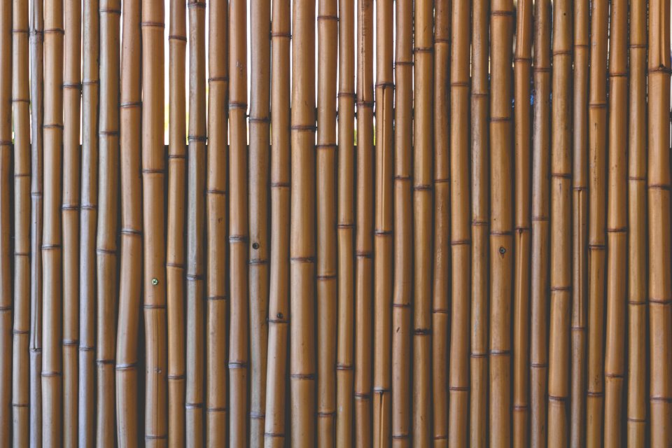 Patern, Texture, Bamboo