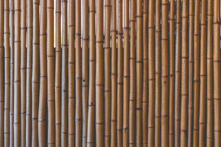 Patern, Texture, Bamboo photo