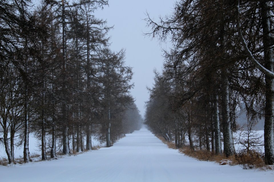 Travel, Adventure, Winter