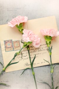 Antique post labeled