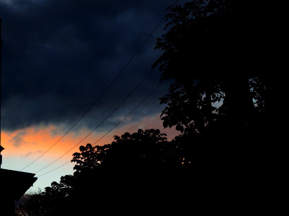 Orange, Dark, Rainy