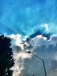 Blue, Sky, Tree