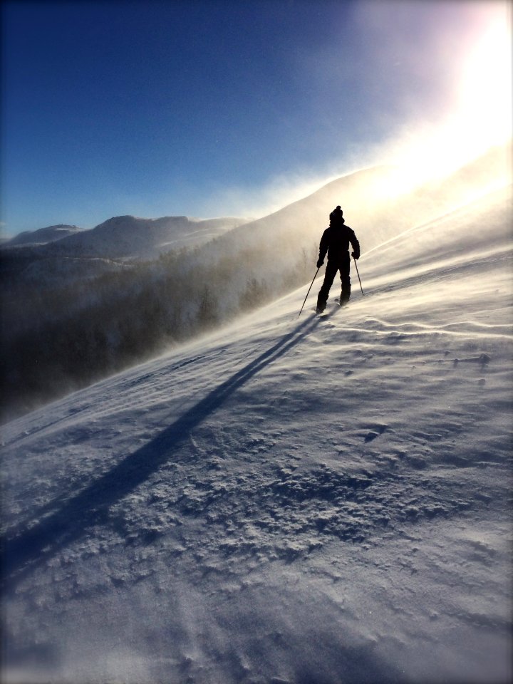 man skiing on ice near trees during daytime