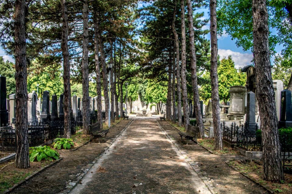 Zvezdara, Serbia, Way
