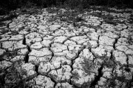 Belgrade, Serbia, Riverbed photo