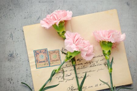 Antique post labeled