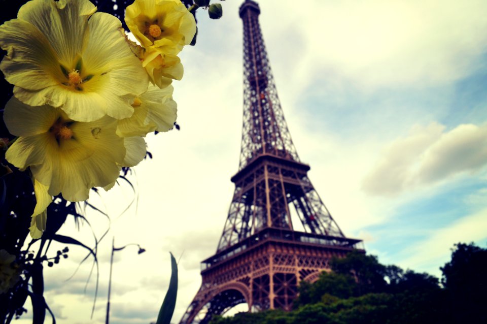 Paris, France, Summer