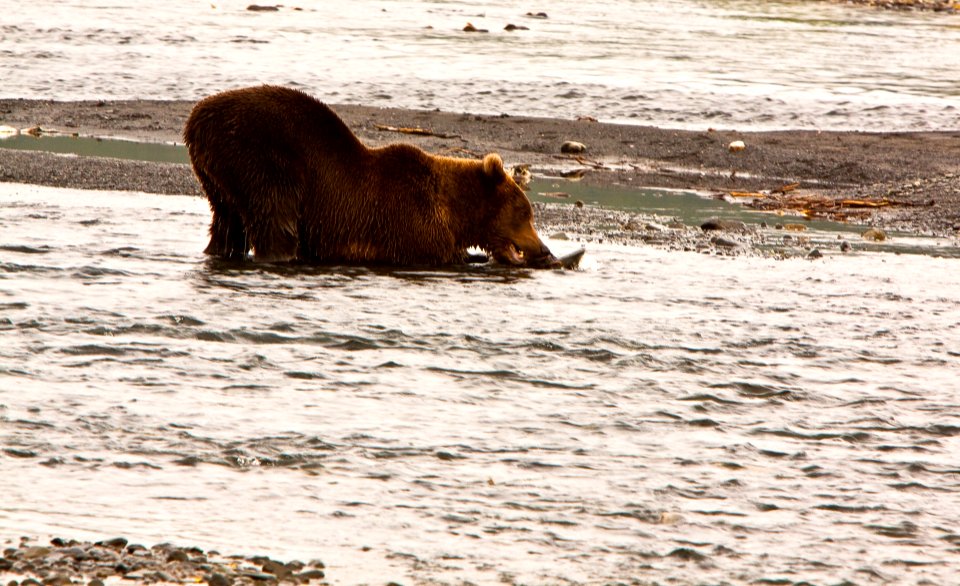 Alaska, Nature, United states