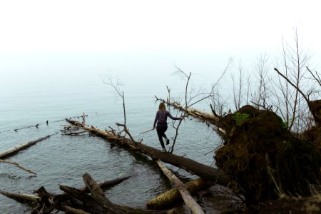 Lake, Trees, Exploring