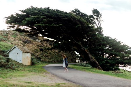 Point reyes lighthouse, Inverness, United states photo