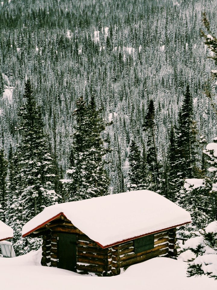Cameron pass, United states, Rocky mountains