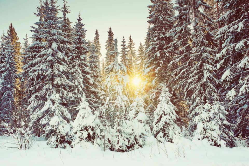 Sweden, Varml, County