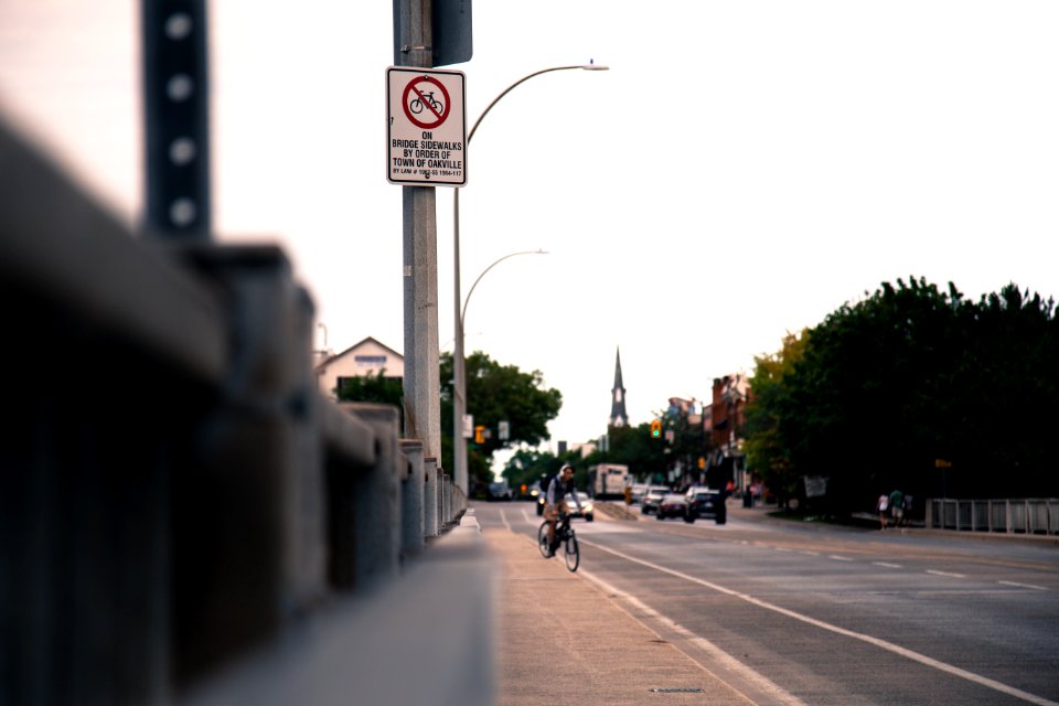 person riding bicycle on road near vehicles at daytime