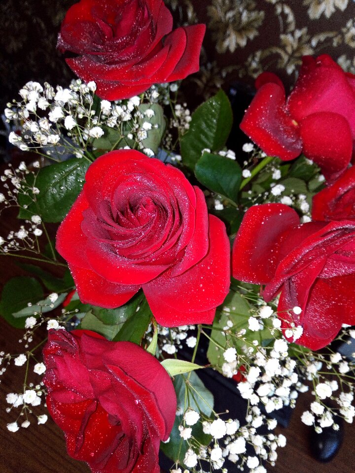 Rose red photo