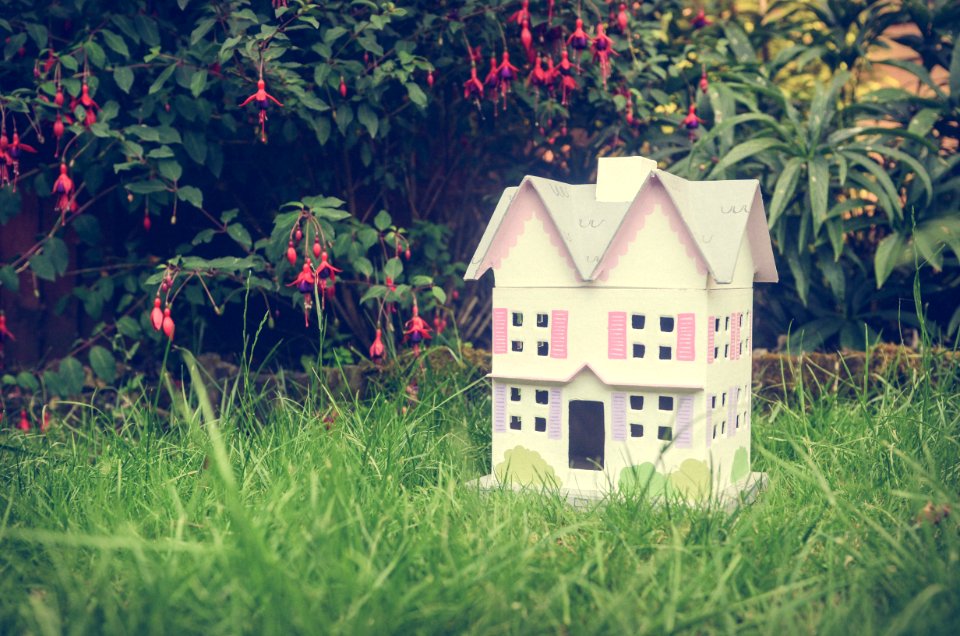 House, Garden, Grass