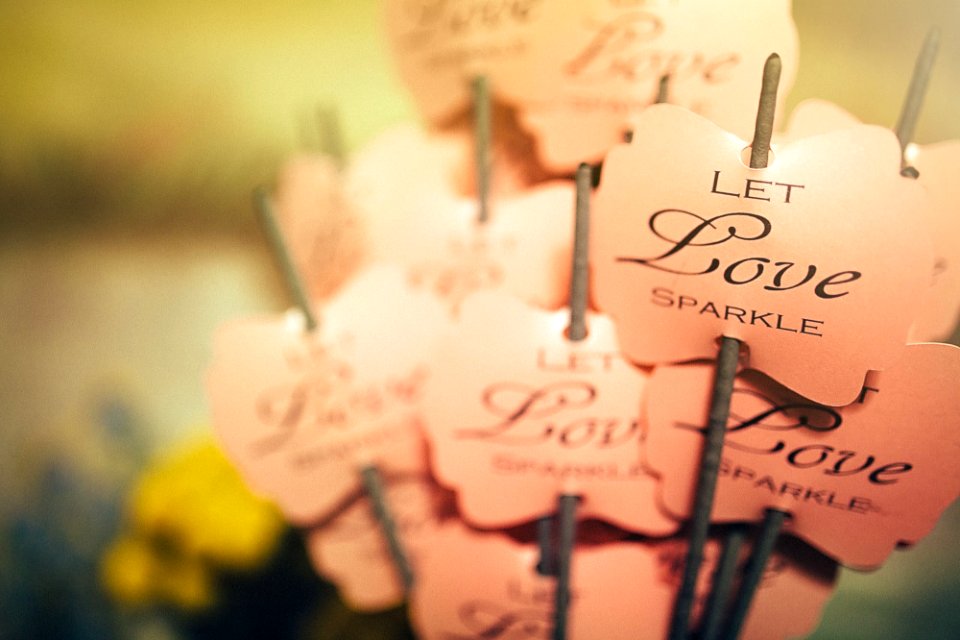 pink decors close-up photography
