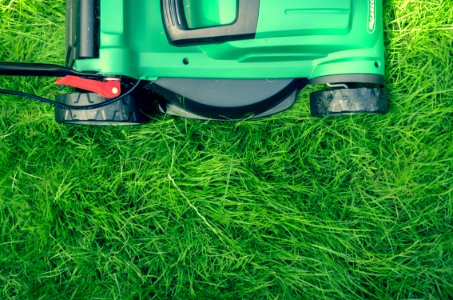 green and black lawnmower on green grass