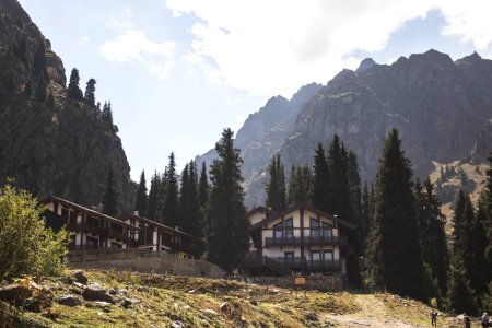 Almaty, Kazakhstan, Trees