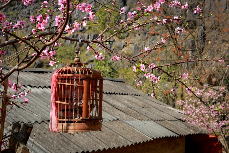 Th nh ph  h  giang, Vietnam