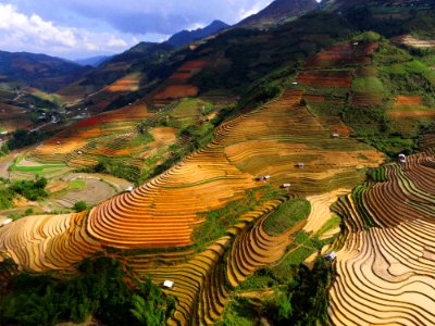 rice terraces during daytime photo