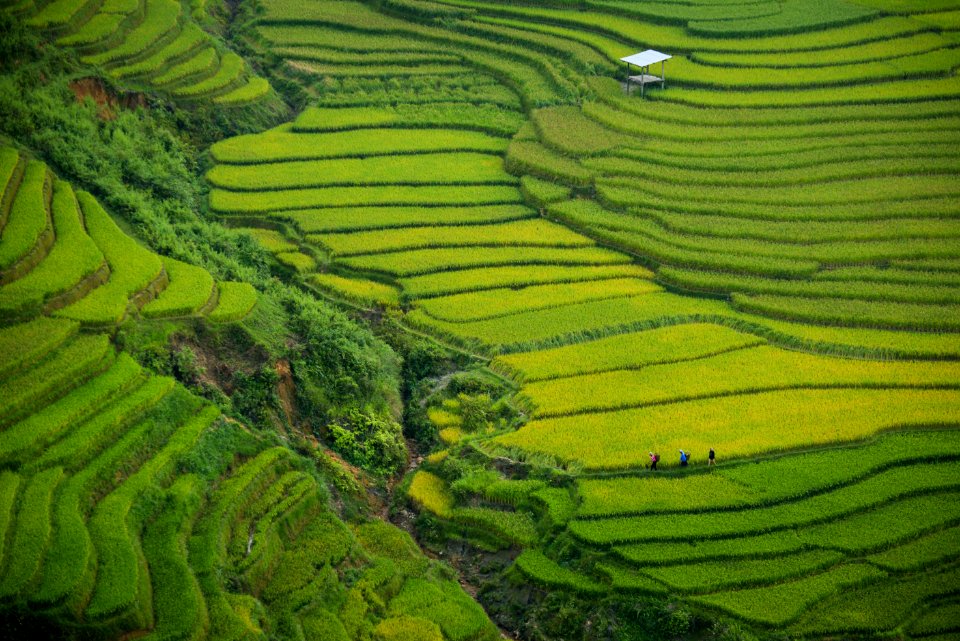 aerial photography of green mountain